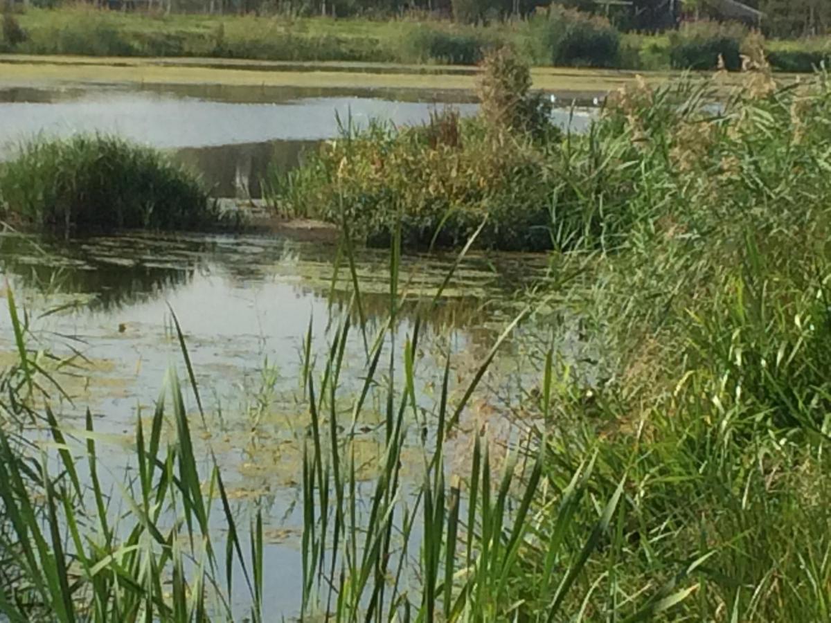 Hoeve Cornelia Berkel en Rodenrijs Bagian luar foto
